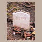 A photograph of Henry David Thoreau's gravestone