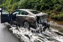 A car is covered in hagfish, and slime, after an accident on Highway 101.