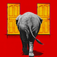 Illustration showing the back of an elephant walking toward a pair of yellow doors