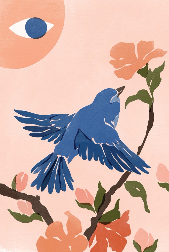 Review: 'What It's Like to Be a Bird' and 'The Bird Way ...