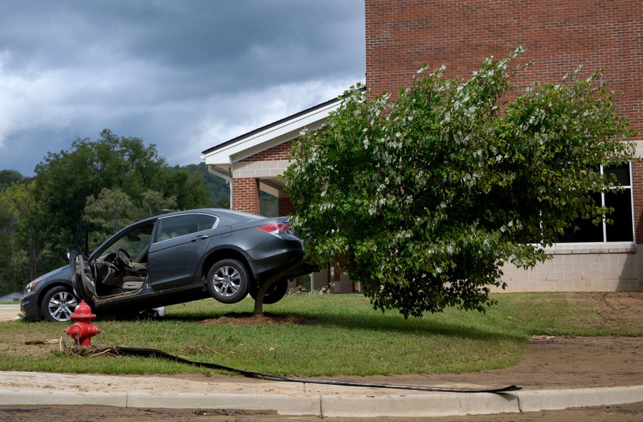 A car rests on a small, bent-over tree outside a school.