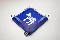 A boxing ring with Democratic branding