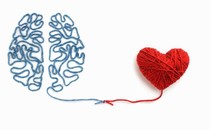 a heart and a brain, illustrated by string