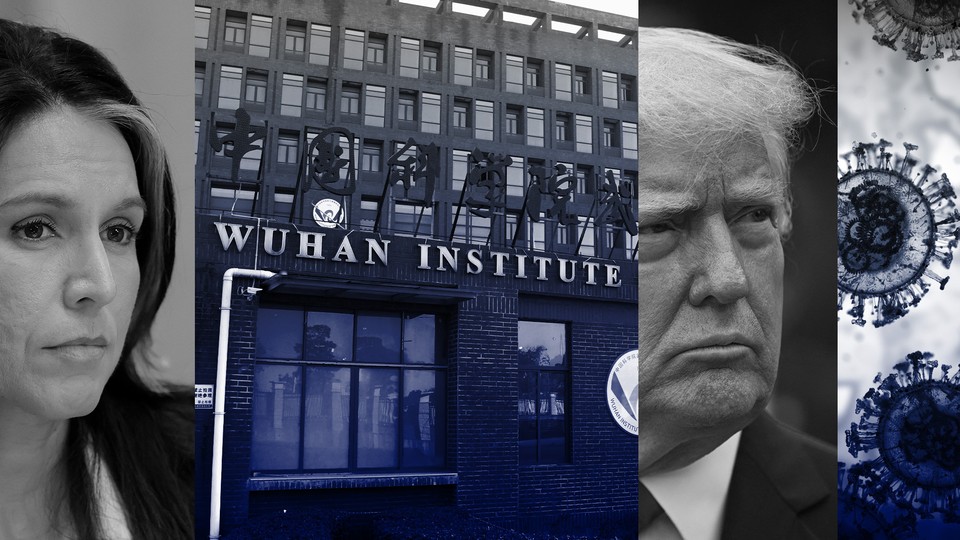 A collage of director of National Intelligence Tulsi Gabbard's face, the Wuhan Institute of Virology, President Donald Trump's face, and renderings of Covid-19's spike protein.