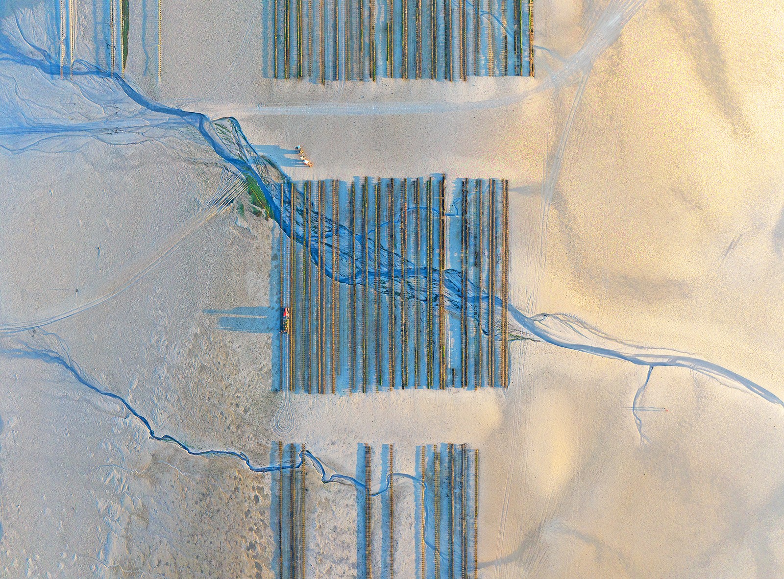 An aerial view of lines of racks, part of an oyster farm, set up on a beach with several stream paths visible in the sand.