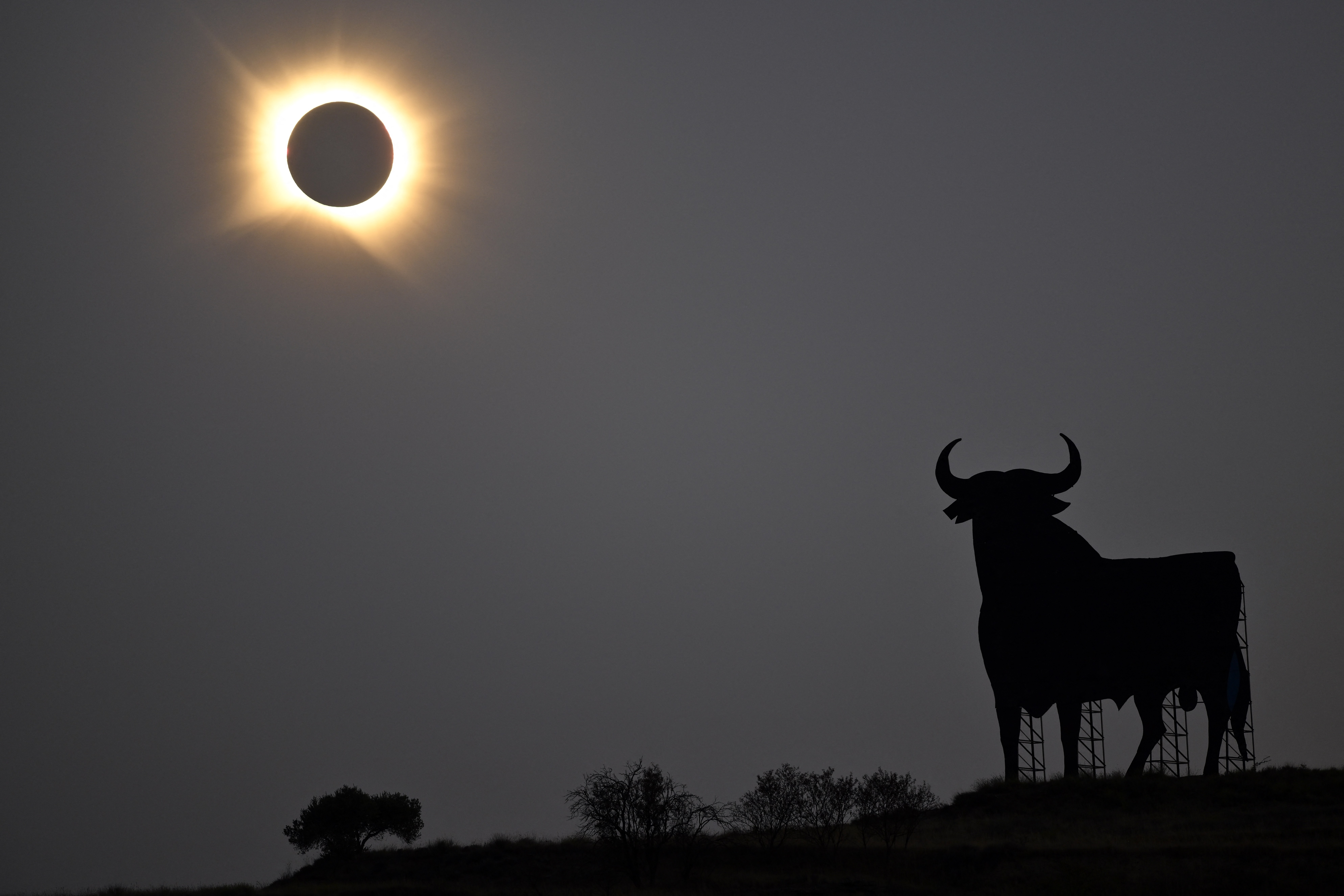 Photos: The Total Solar Eclipse of 2026