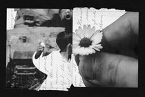 Photo-illustration split into two sides, on the left a child in front of a tank throwing something and on the right a hand holding a flower