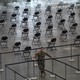 Rows of empty chairs at a mass-vaccination site