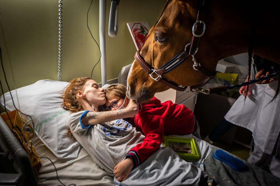 A very ill woman embraces her son while lying on a hospital bed beside a horse, which was brought in for therapy.
