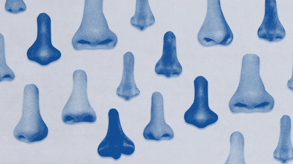 Many blue-filtered cut-out photos of noses