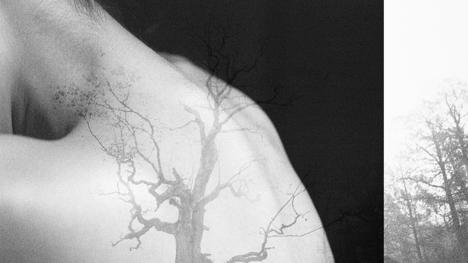 overlayed images of a woman's neck and back and trees, one in the center with gnarled branches