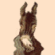 Illustration of a donkey