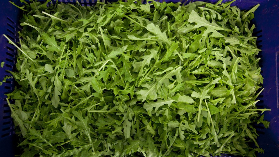 A carton of arugula leaves