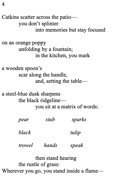 Section 4 of a poem by Arthur Sze