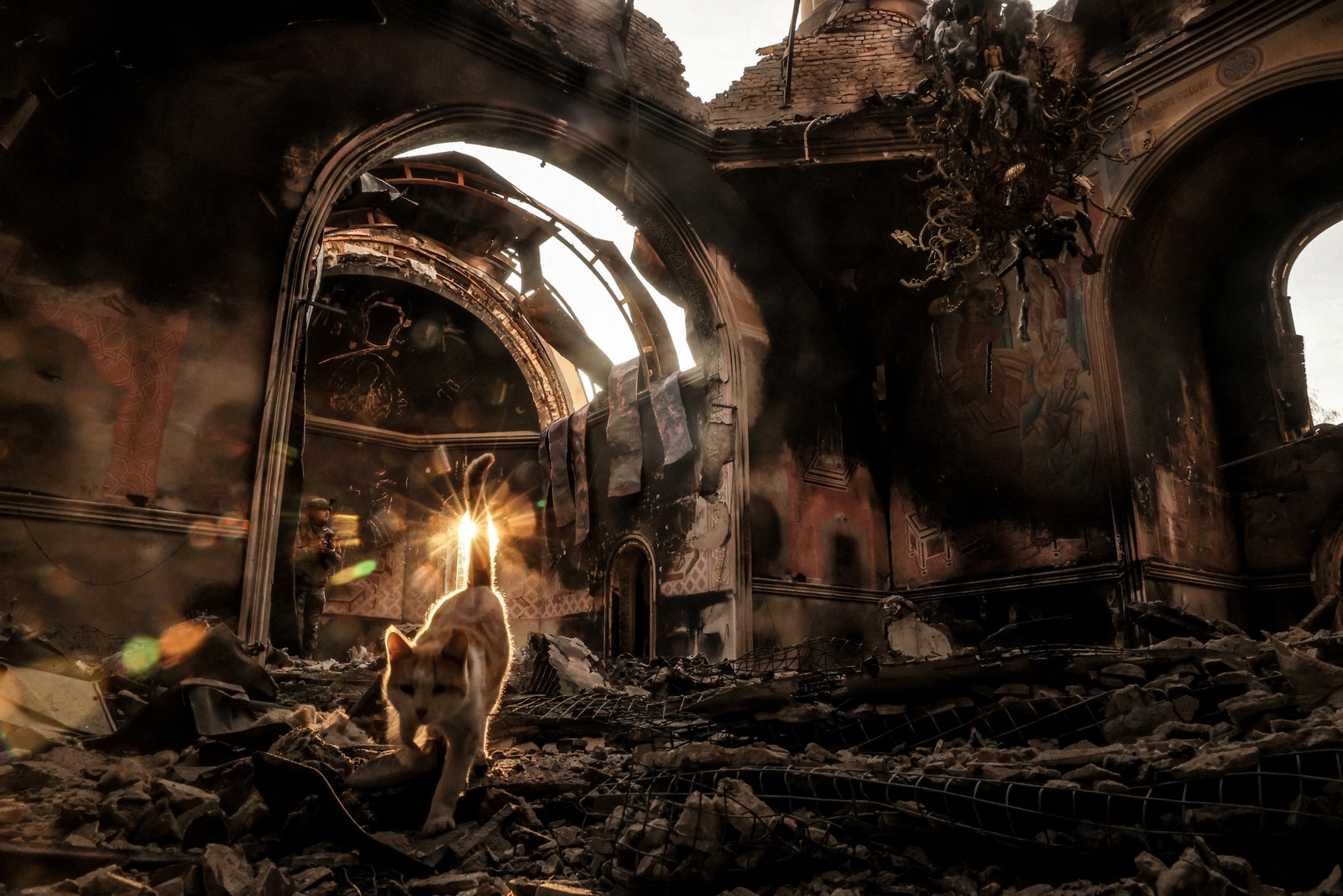 A cat walks on debris in a church damaged by a Russian military strike.