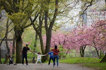 A family plays in Central Park