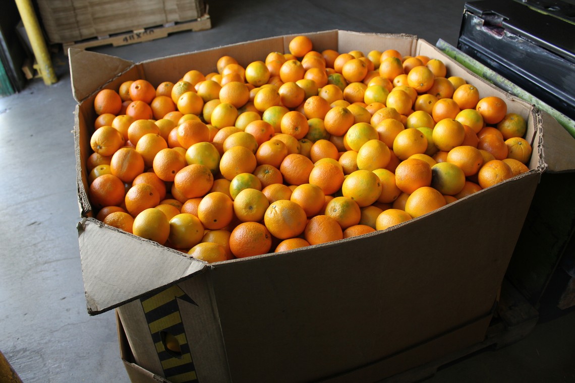 Inside the Packing House - The Atlantic