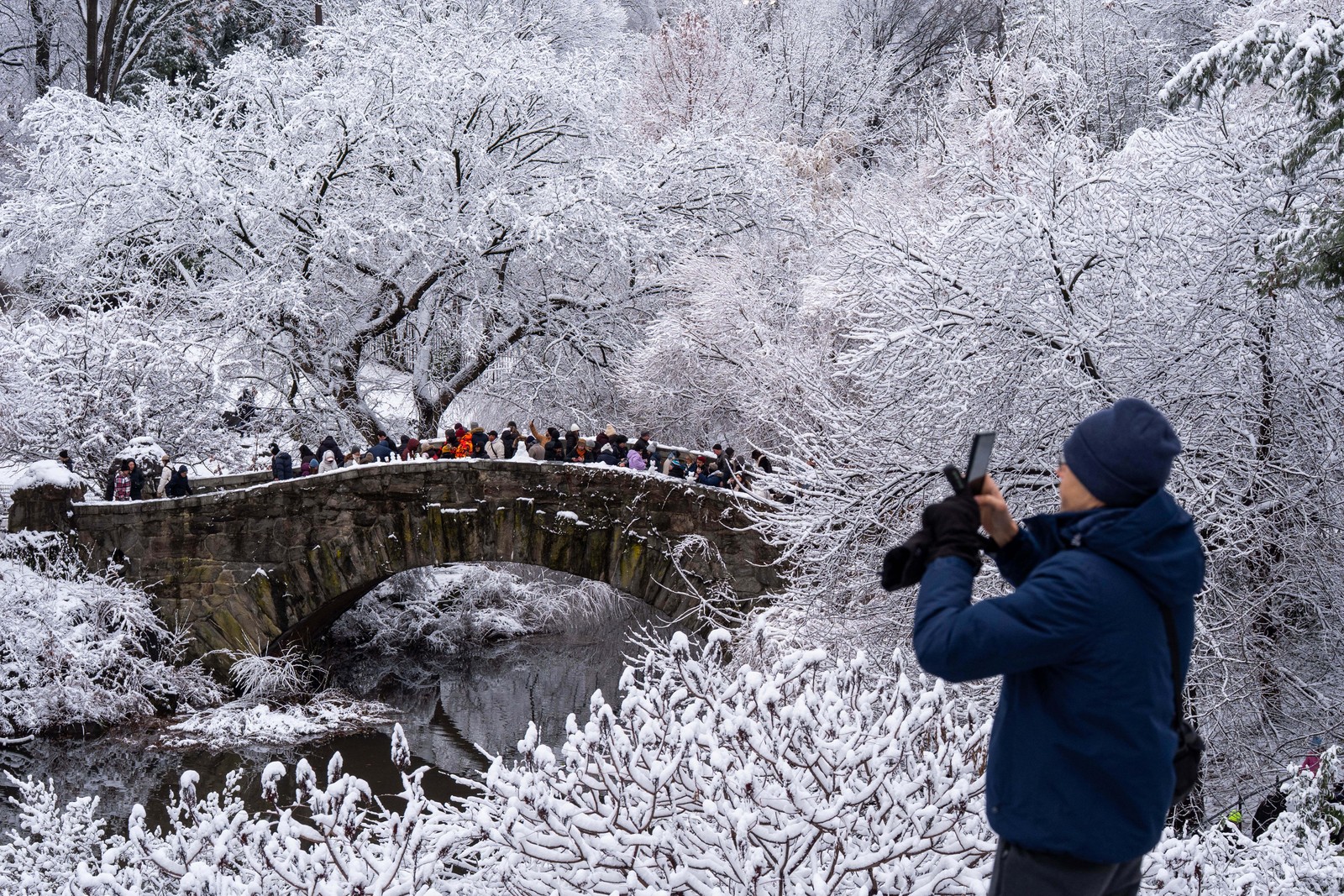 A person takes a photo in New York City's Central Park, where bare trees all covered in fresh snow, and people are walking over a stone arch bridge.