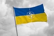 The Ukrainian flag with the NATO insignia impressed on it