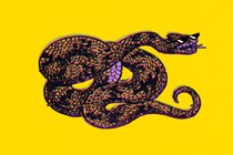 A snake in sunglasses on a yellow background,, evoking the Gadsden flag, with glitch-like artifacts surrounding it