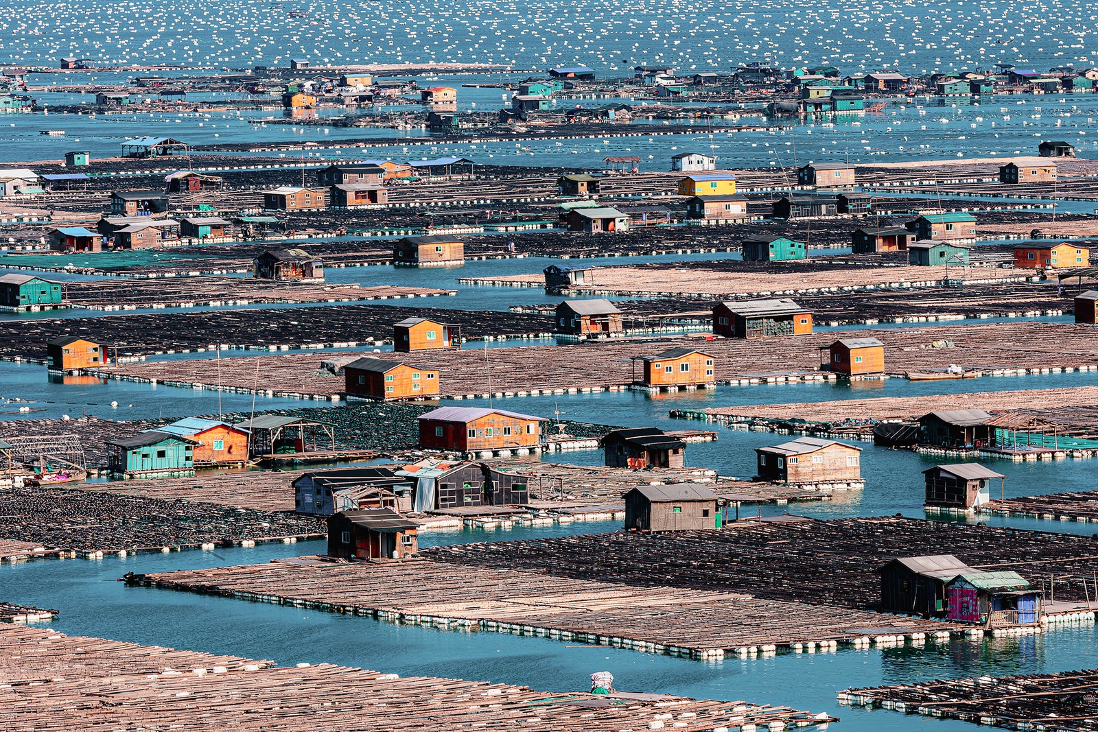 Many floating buildings, surrounded by rafts supporting fish cages
