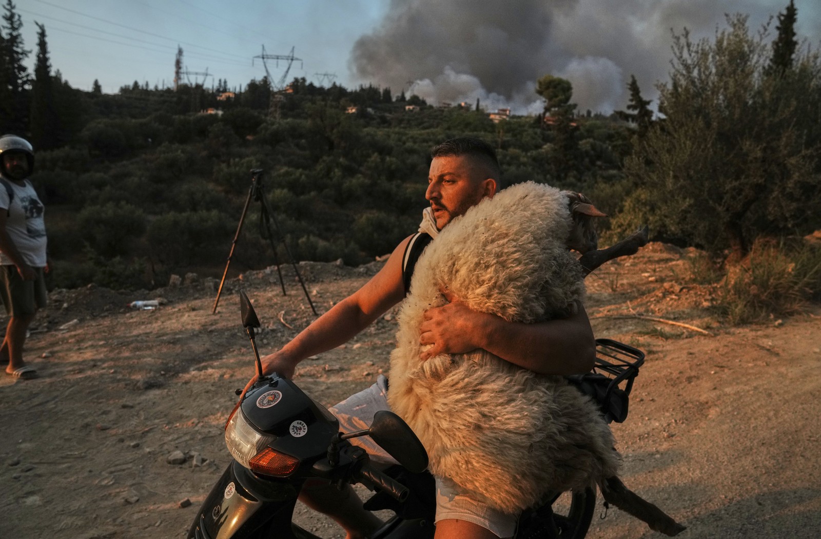A man carries a sheep on a motorcycle away from a wildfire.