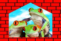 An illustration of three frogs against a brick-wall background