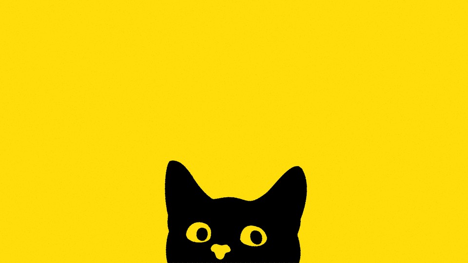 an illustration of a black cat peeking out onto a yellow background. the cat looks mischievous.