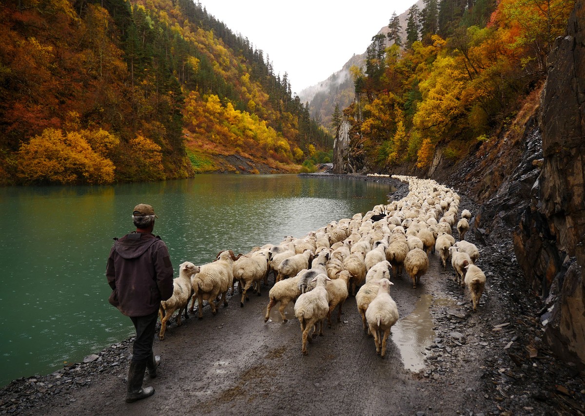 The Shepherds of the Tusheti Mountains - The Atlantic