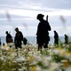 A memorial made of life-sized silhouette cutouts of soldiers standing in a field of flowers