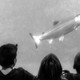 kids watching fish