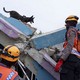 Two rescue workers look up toward a search dog that is walking atop the rubble of a collapsed building.