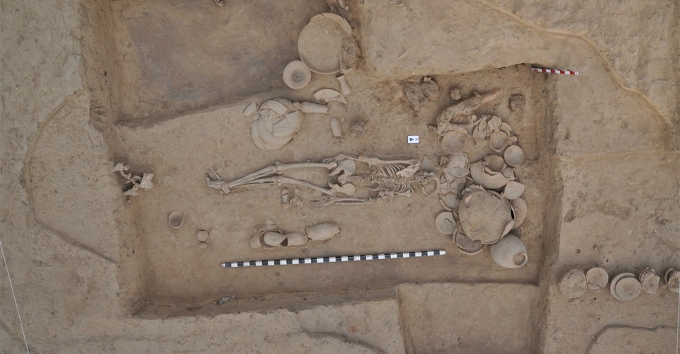 indus valley civilization dna has long