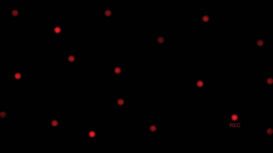 An illustration of recording dots.
