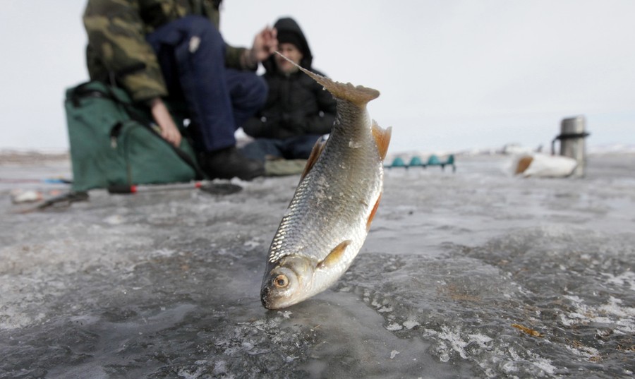 A Year on the Yenisei River - The Atlantic