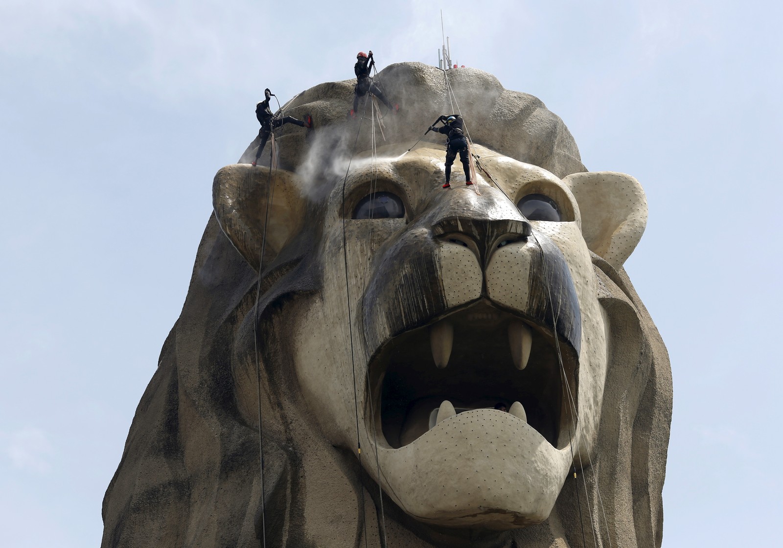 Several workers stand on top of the head of a large 'merlion' statue, spraying it clean.