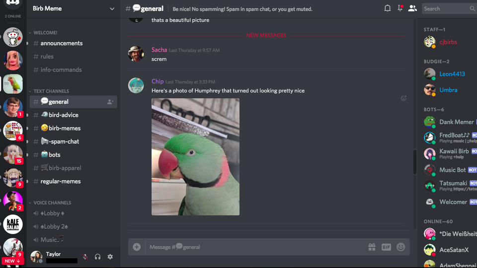 Discord chat about life servers
