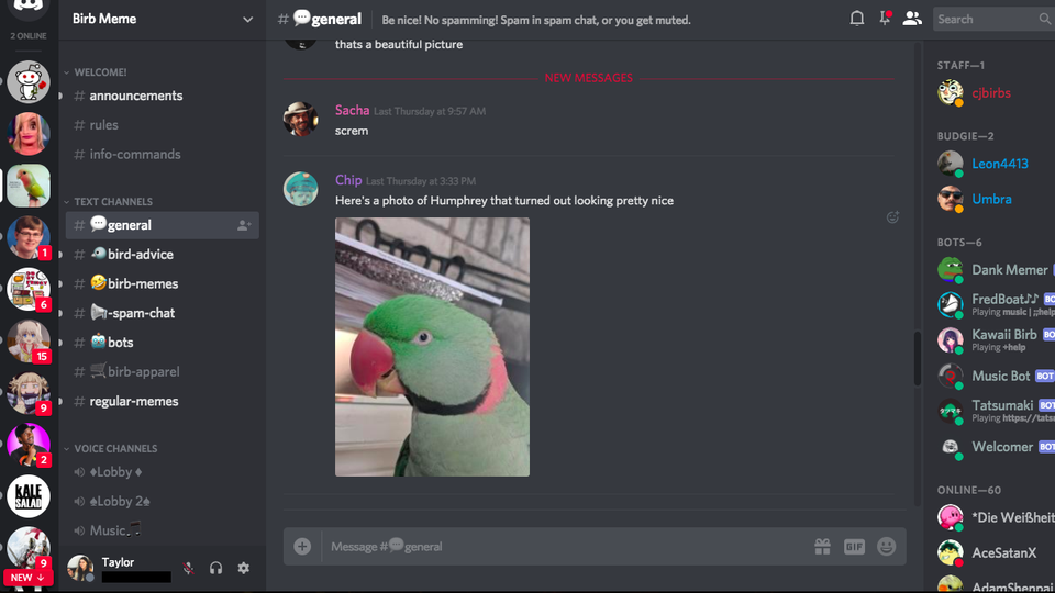 Discord Chat
