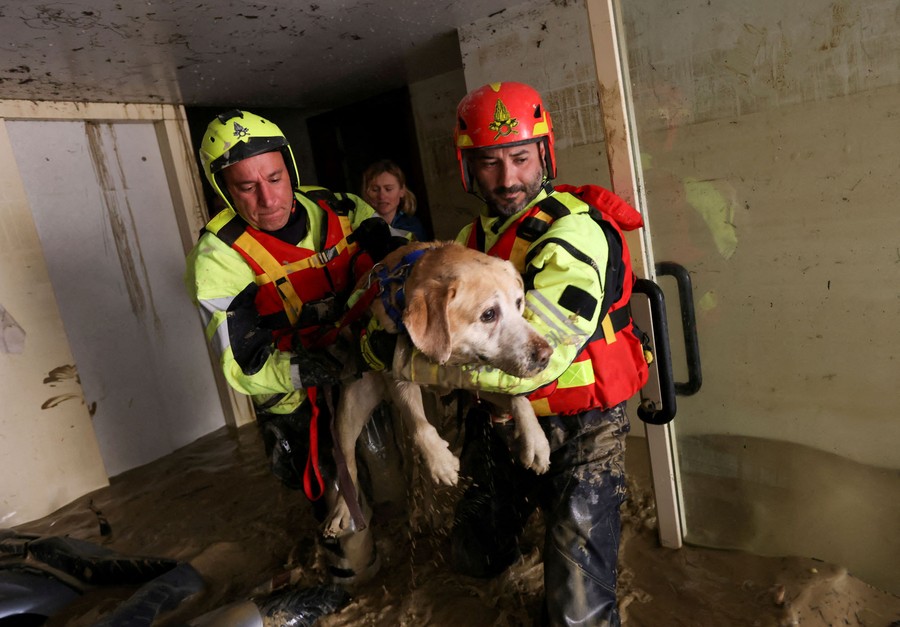 Two firefighters carry a dog out of a flooded house.