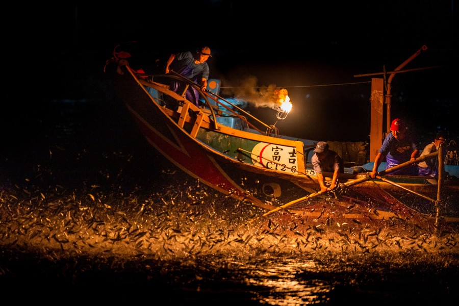 At night, hundreds of small fish leap from the water near a boat with a bright torch.