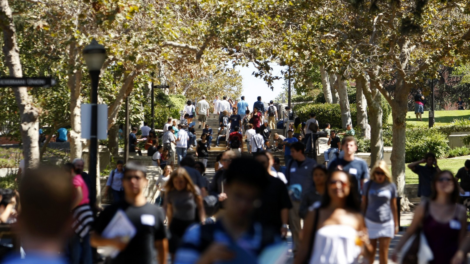 The Complicated Process of Adding Diversity to the College Syllabus - The  Atlantic