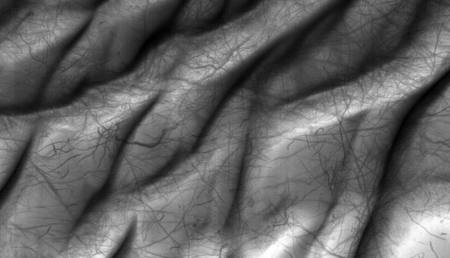 Photos: The Dust Devils of Mars - The Atlantic