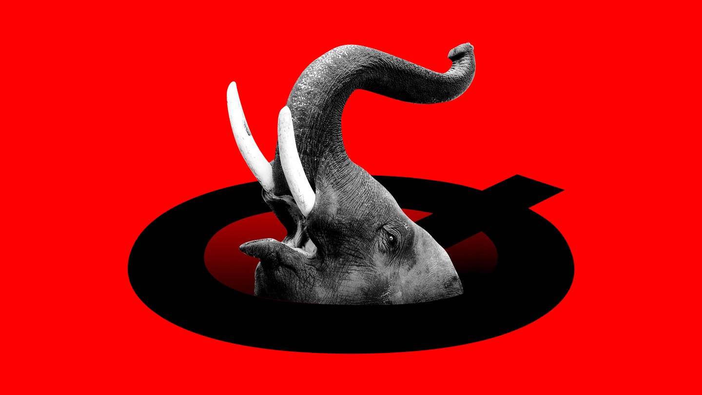 An elephant and QAnon