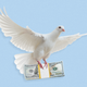 A dove carrying a stack of money