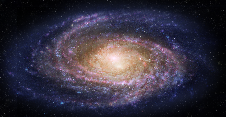 Who Is Laughing On The Golden Record The Atlantic