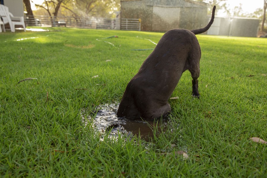 Photos: A January Heat Wave in Australia - The Atlantic