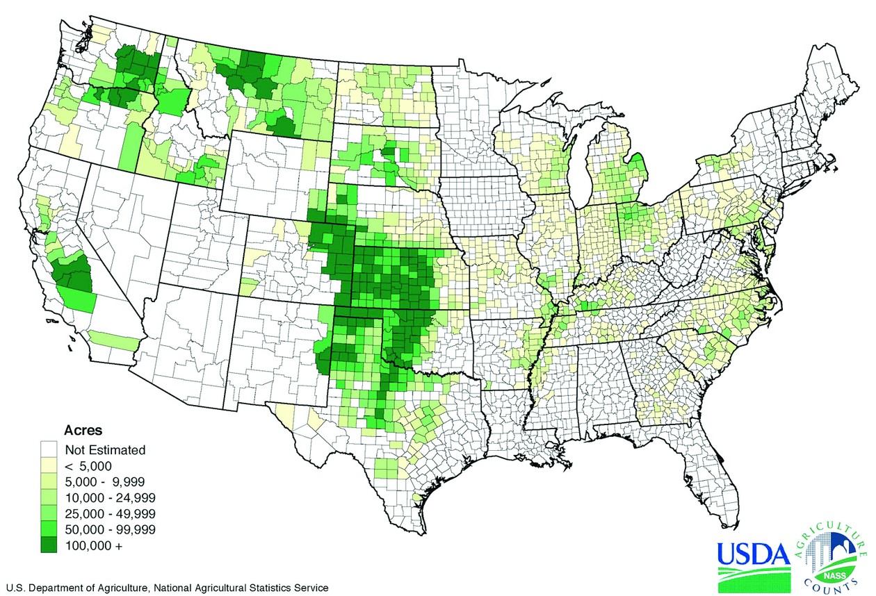 Wheat Farms and Wind Farms in Kansas - The Atlantic