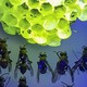 a paper-wasp nest under UV light, glowing fluorescent green