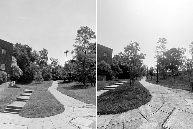 Xenia street befroe and after trees were sut