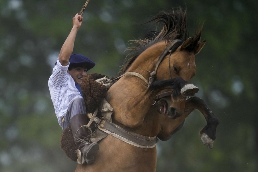 A man holds tight as the horse he is riding rears up high.